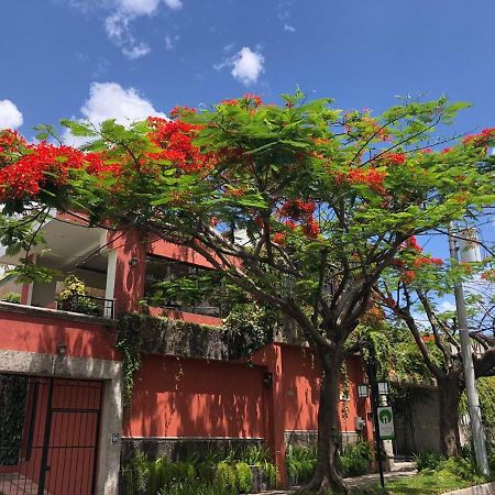 Hotel Arbol De Fuego San Salvador Exterior foto